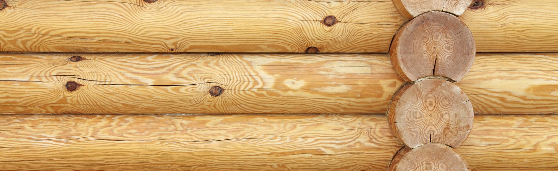 Строительство бани из бревна в Астане от компании Кромвель