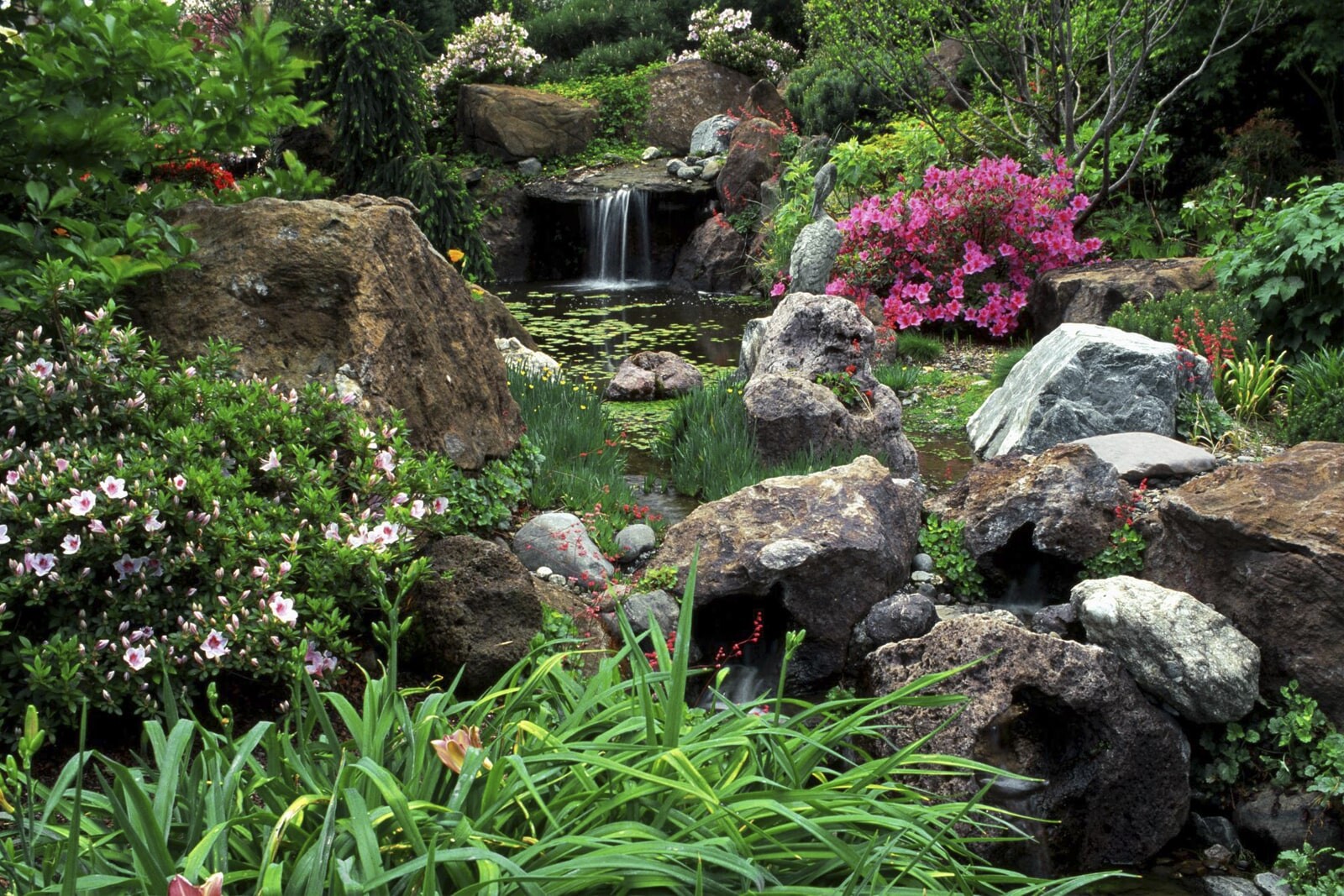 Альпинарий с небольшим водопадом