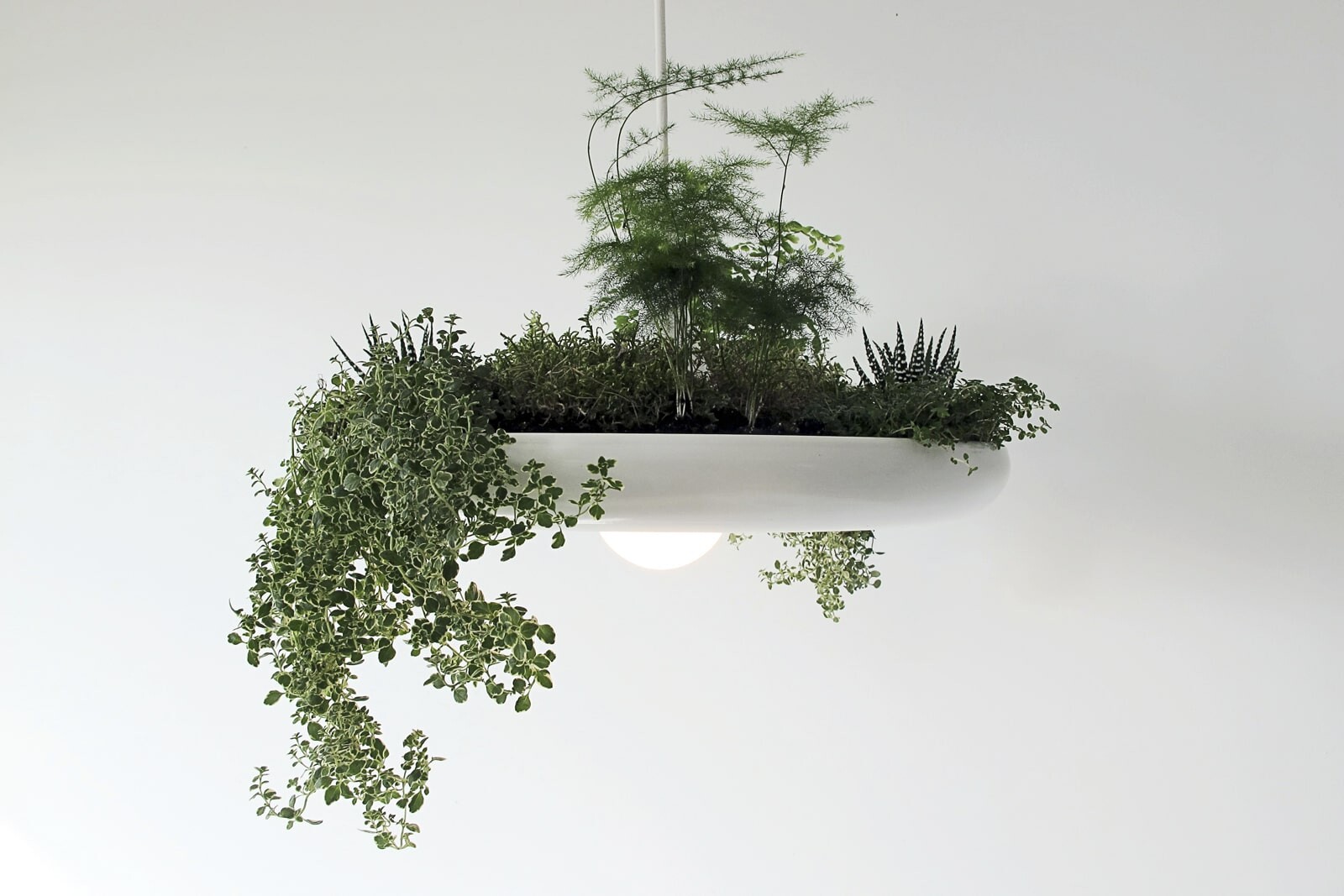 Подвесной контейнер с лампой