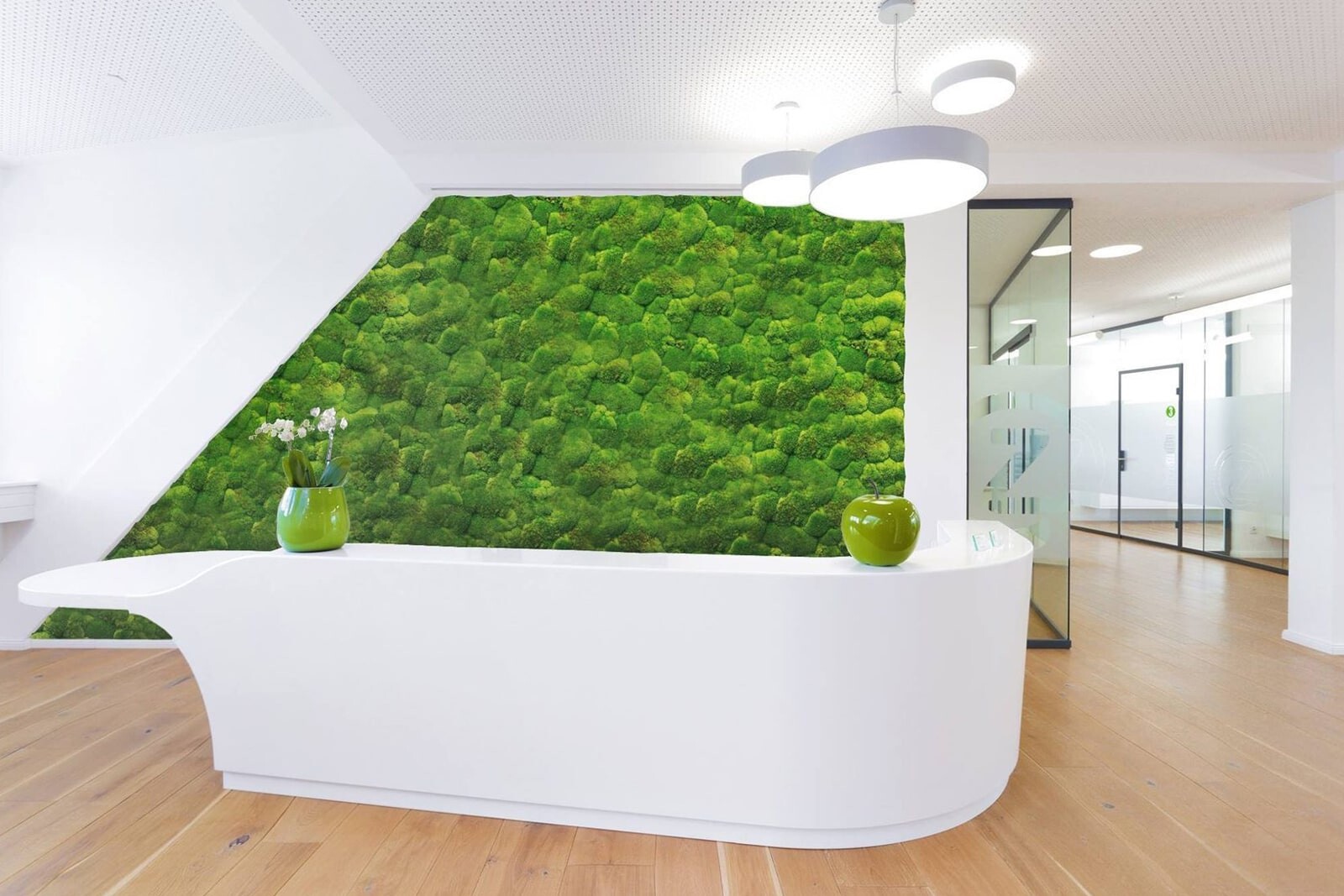 Экостена из мха