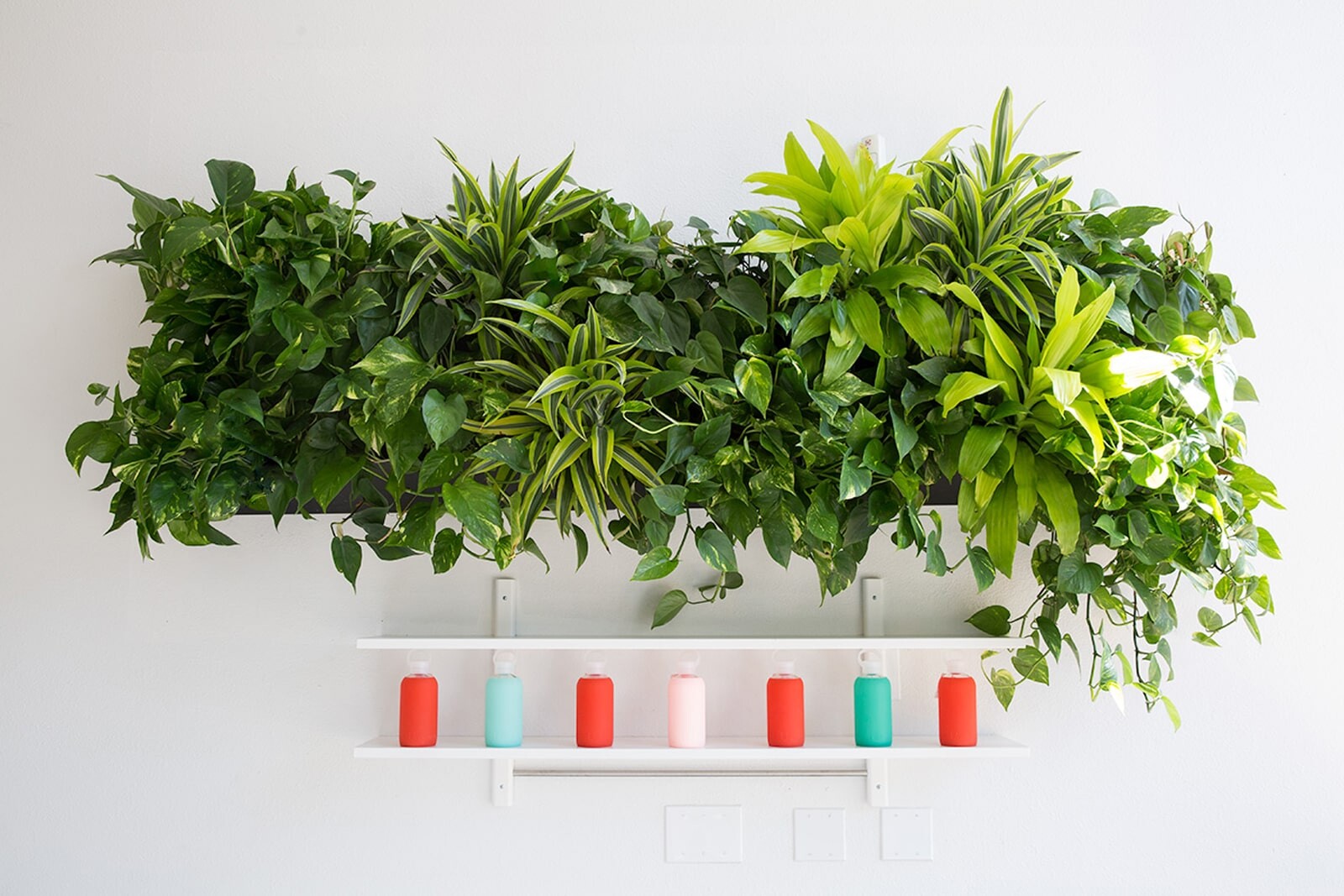 Фитокартина как элемент декора интерьера