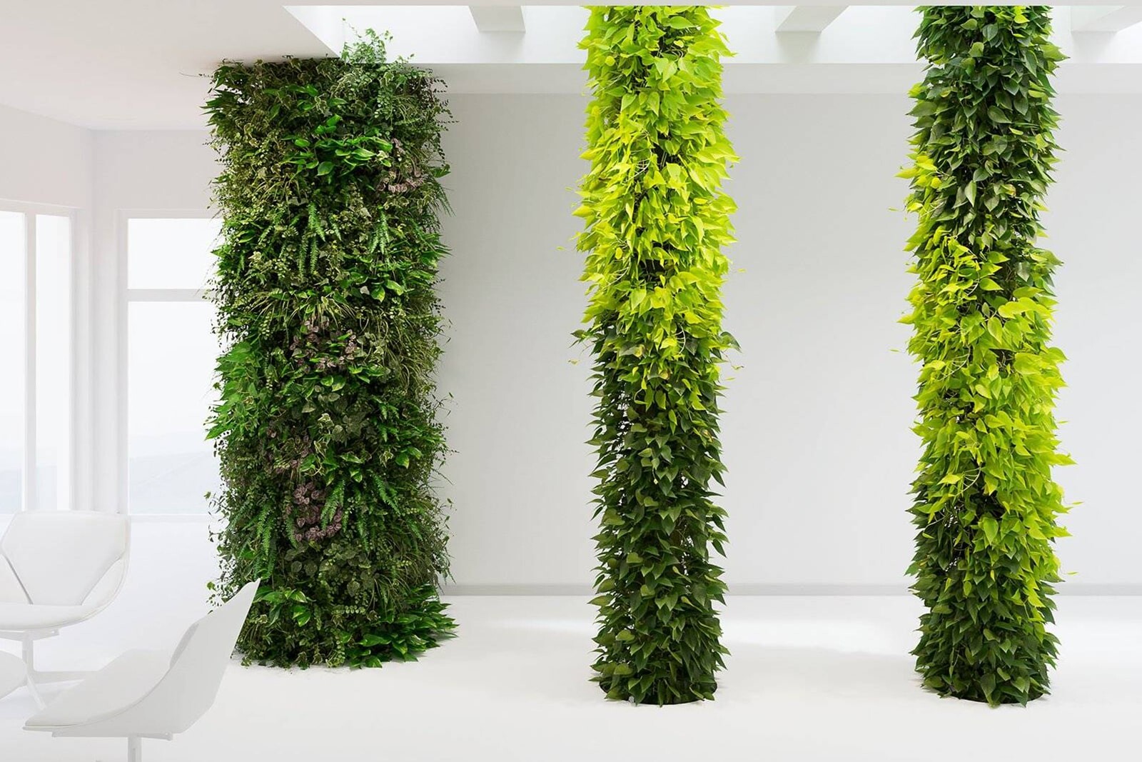 Вертикальное озеленение