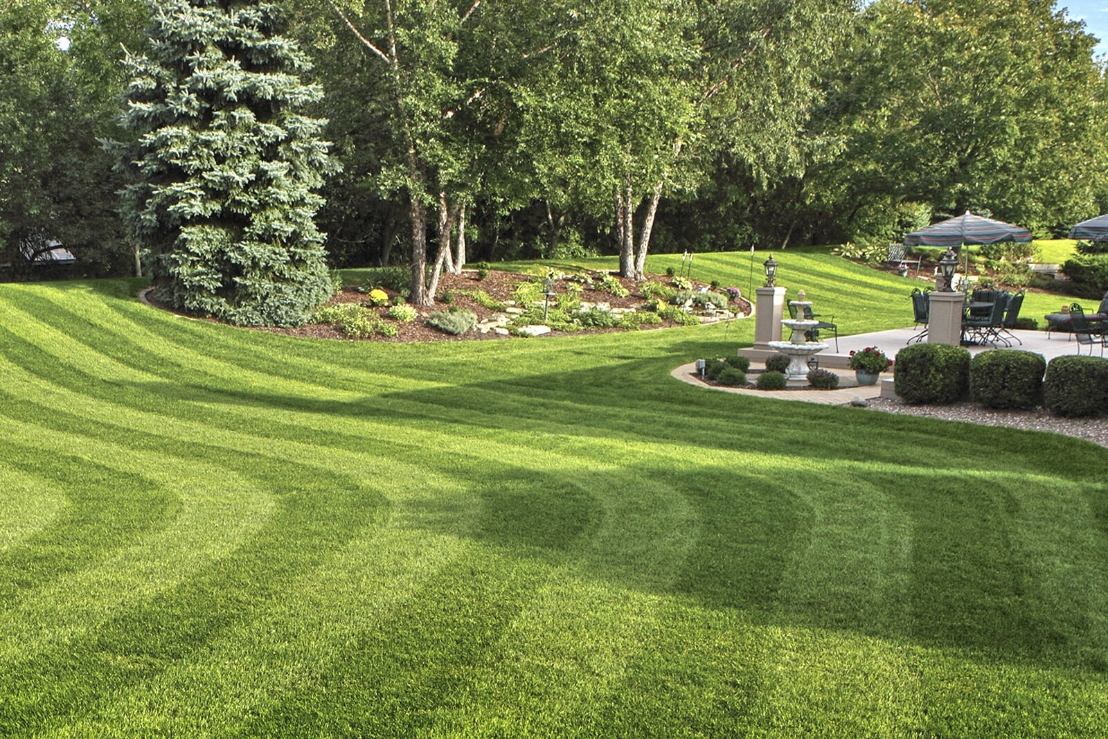 Партерный газон отличается идеальной бархатистой поверхностью
