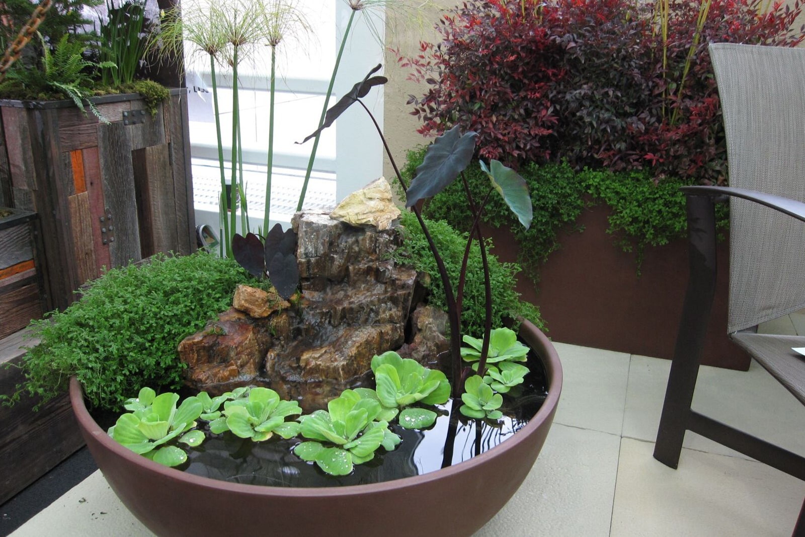 Мини-пруд возле дома