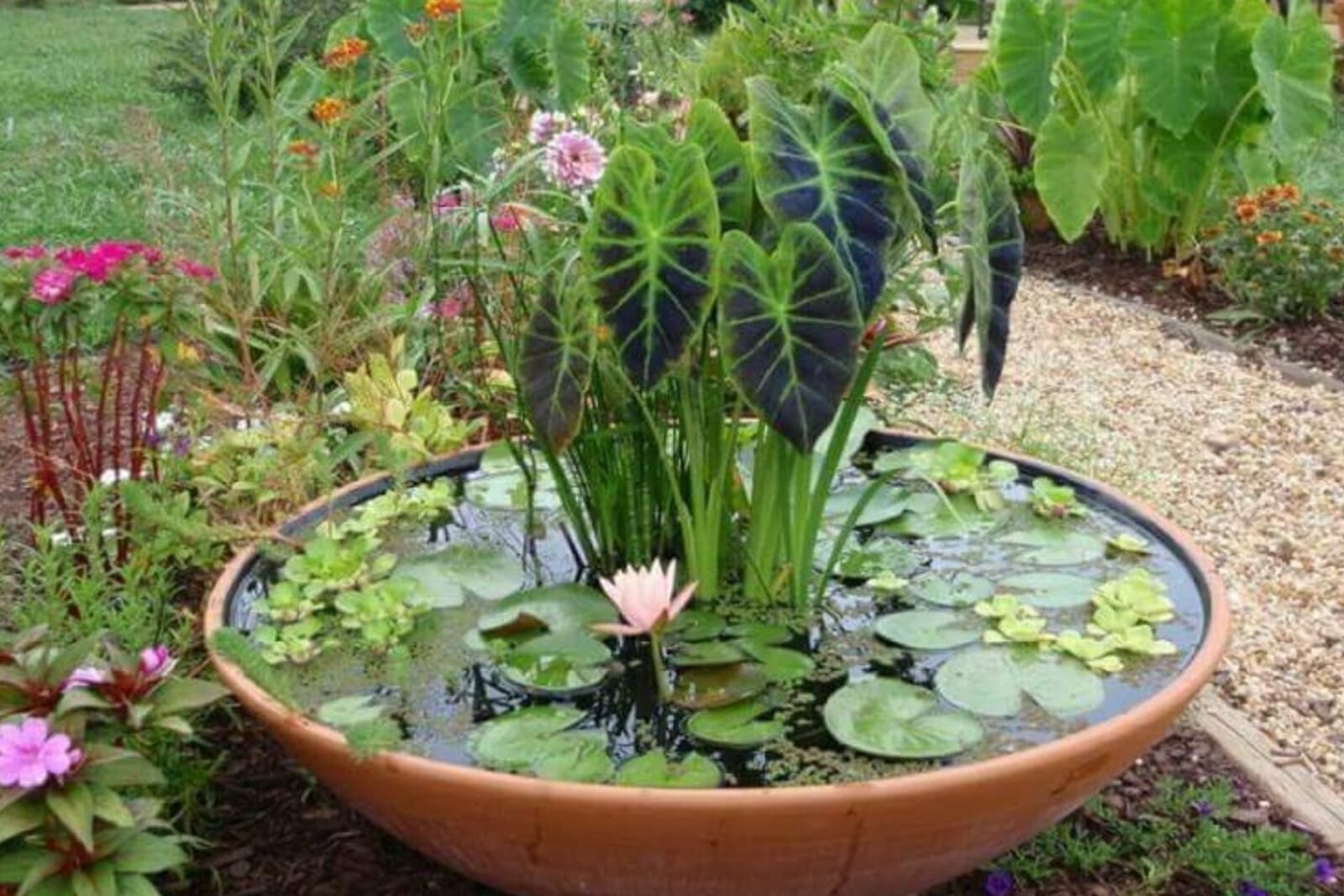 Мини-пруд на даче