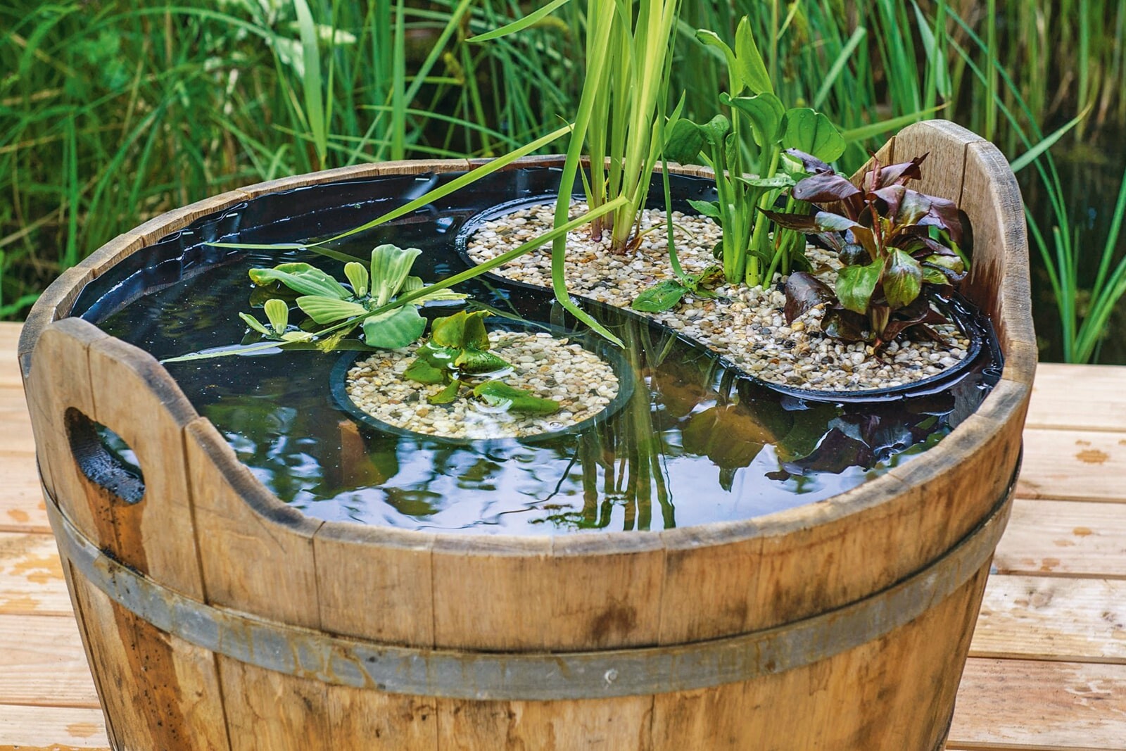 Мини-водоем на участке