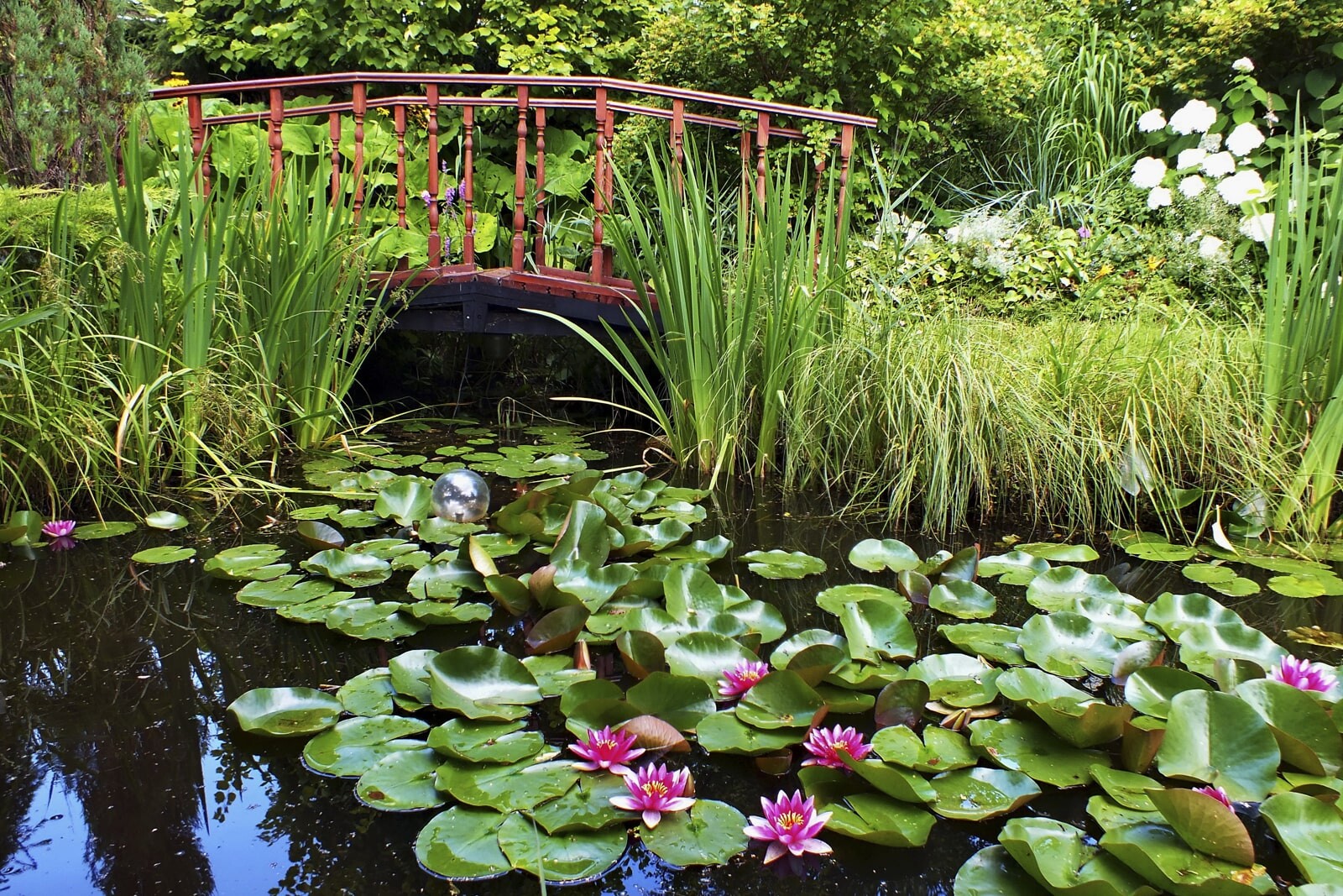 Искусственное болото на даче