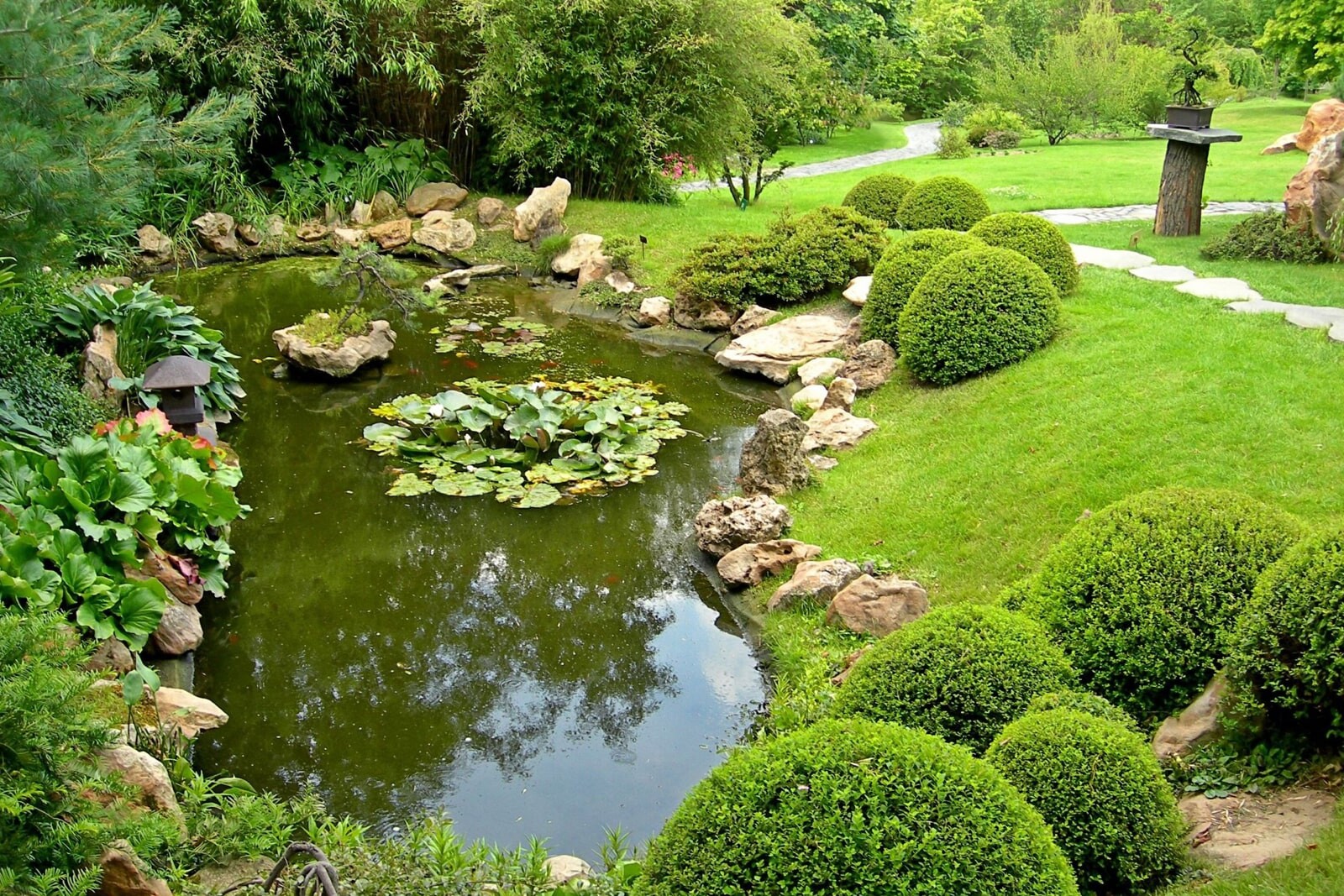 Красивое болото в загородном поместье