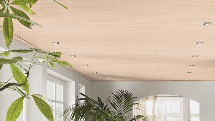 Пластиковый ПВХ потолок