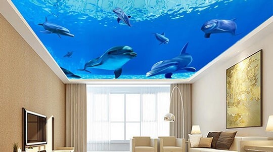 Натяжной потолок с фотопечатью