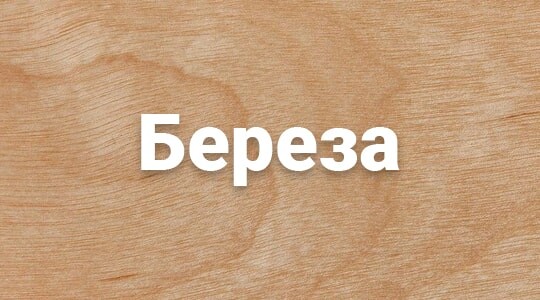 Деревянный сруб в Астане из березы