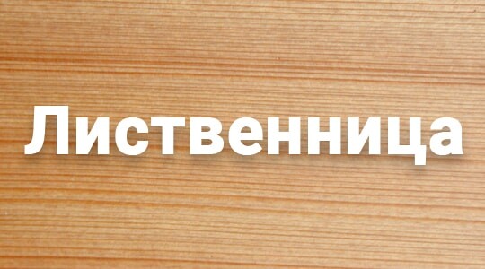 Деревянный сруб в Астане из лиственницы