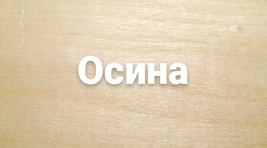 Деревянный сруб в Астане из осины
