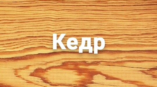 Сруб бани из бревна в Астане из кедра