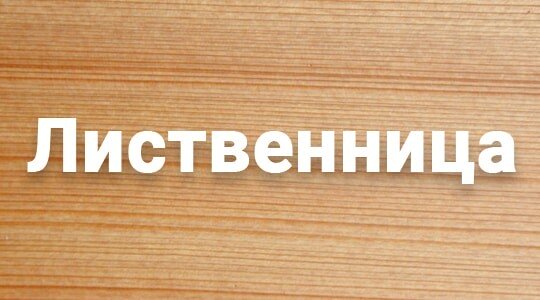 Сруб бани из бревна в Астане из лиственницы