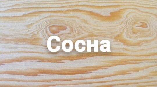 Сруб бани из бревна в Астане из сосны