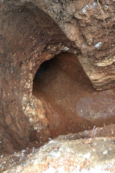 Тайный лаз из дома